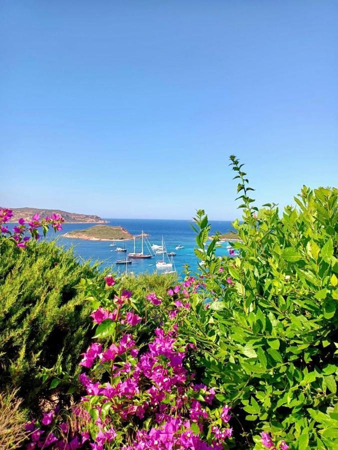 Appartamento San Teodoro Punta Est Delizioso Monolocale Vista Mare Esterno foto